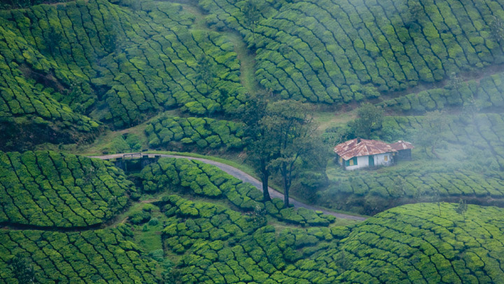 munnar hill station