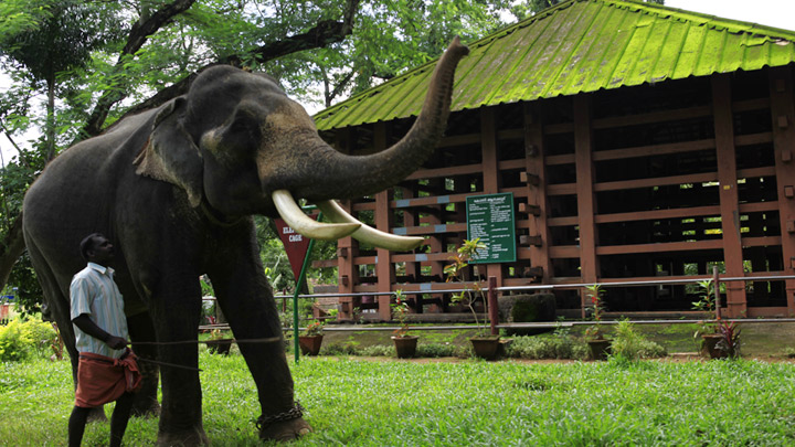 Konni, kerala destinations