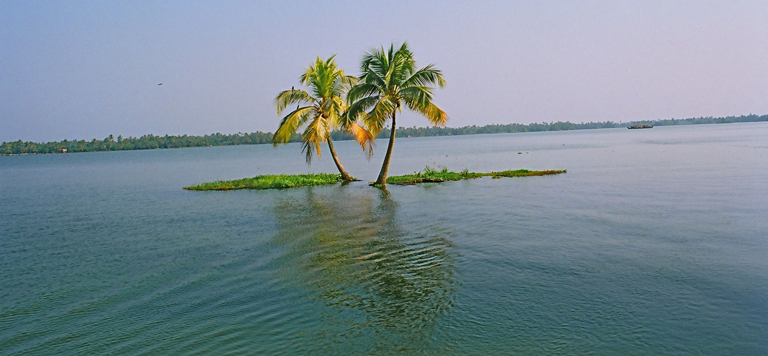 kumarakom backwaters