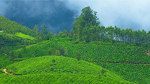 Kerala Hill Stations