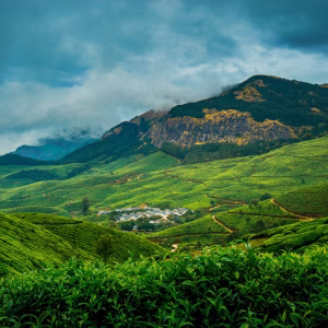 Deshadan Mountain Resort Munnar hills honeymoon clouds view HM-11