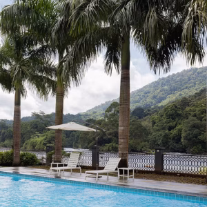 Luxury Suite balcony at Casa Rio Resort Athirapally overlooking rainforest