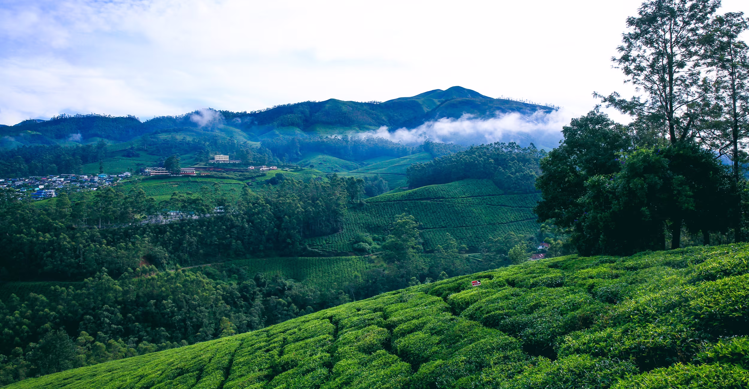 Munnar honeymoon packages Kerala tea gardens misty hills romantic couple travel