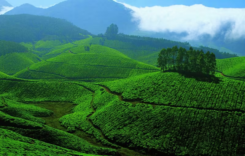 Munnar tea plantation sunrise honeymoon Kerala scenic hills romantic landscape