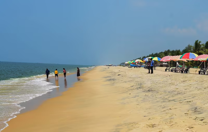 Marari Beach in Kerala with golden sands, coconut palm trees and peaceful luxury beach holiday atmosphere